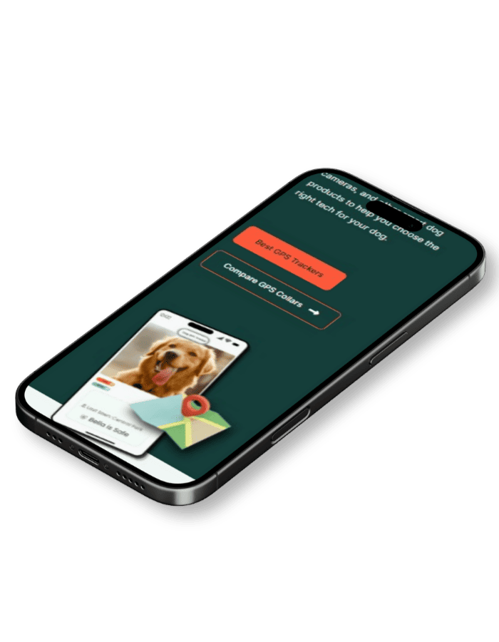 tailtuner mobile mock up